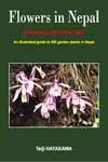 Flowers in Nepal: Cultivars and Some wild - Teiji HAYAKAWA -  Dictionary